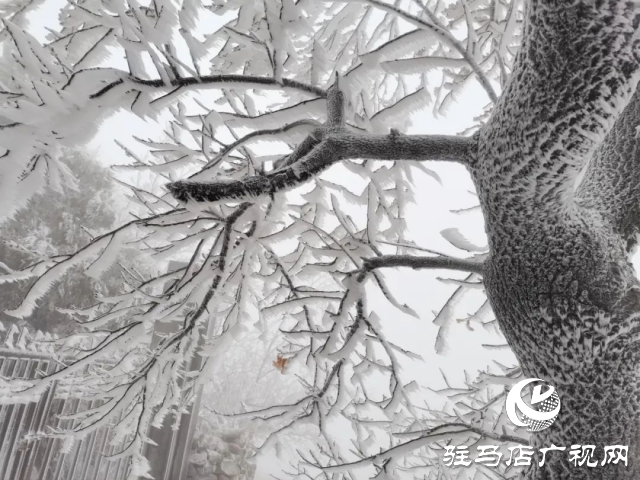 美呆了！羅漢山開啟雪凇、霧凇雙景齊現(xiàn)模式