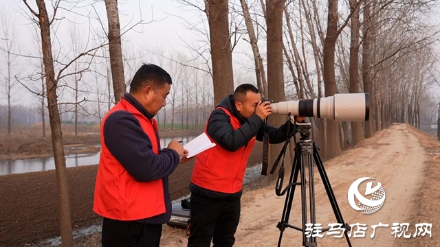 寒冬，他們在宿鴨湖濕地守護候鳥