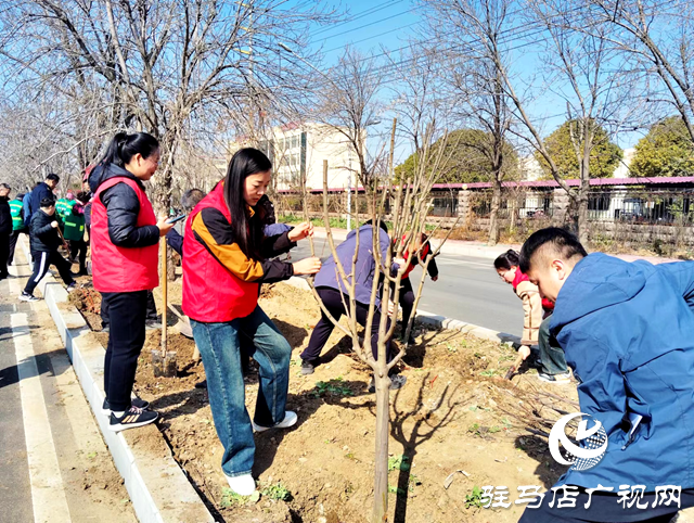 西平縣城管局園林綠化中心：春光無(wú)限好植樹(shù)正當(dāng)時(shí)