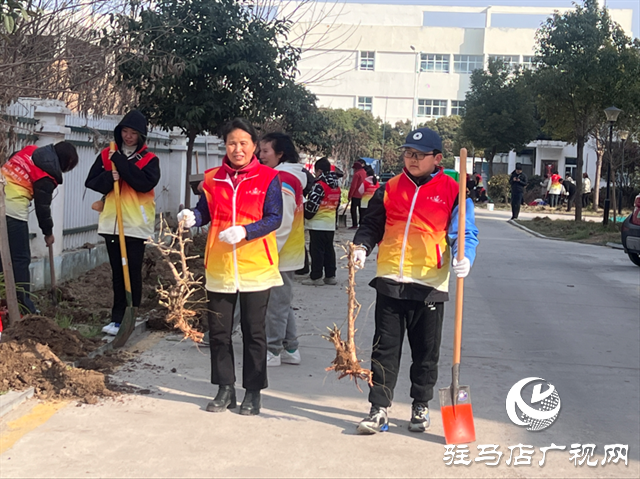 駐馬店天中義工組織開展義務(wù)植樹活動