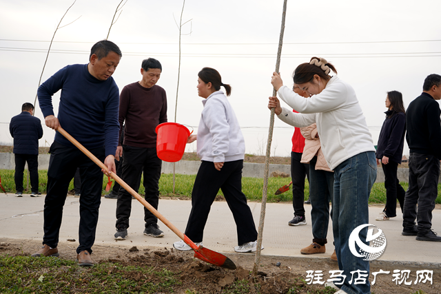 新蔡縣河塢鄉(xiāng)：植樹添新綠 鄉(xiāng)村“靚”起來