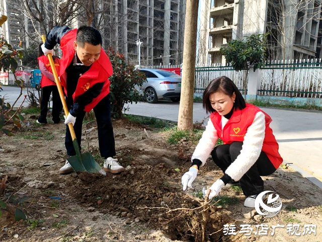 駐馬店市郵政分公司團(tuán)委組織開展植樹活動(dòng)