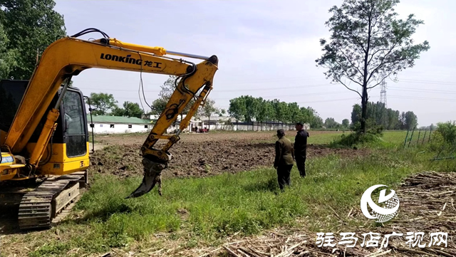 確山縣朗陵街道：土地復(fù)耕動(dòng)真格