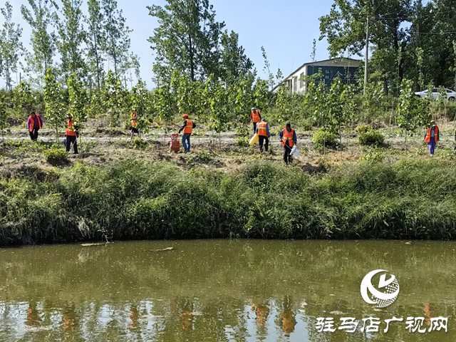 驛城區(qū)水屯鎮(zhèn)：開展河道清理整治 守護(hù)水清岸綠美景