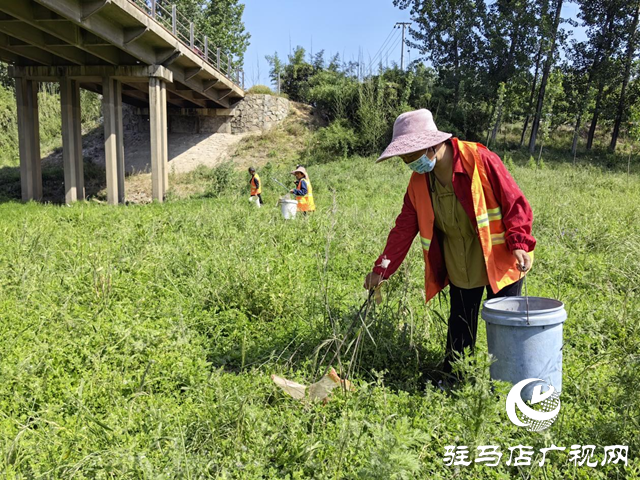 驛城區(qū)水屯鎮(zhèn)：開展河道清理整治 守護(hù)水清岸綠美景