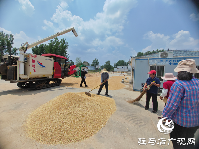 十五載追逐麥浪 助農(nóng)民顆粒歸倉 平輿縣90后網(wǎng)紅夫婦開收割機縱橫中國跨區(qū)搶收