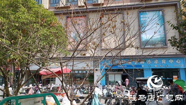 駐馬店：街頭游園樹木枯死 市民心焦盼“拯救”