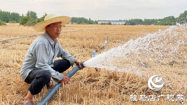 驛城區(qū)華夏種植合作社：不誤農(nóng)時(shí)搶種保秋收