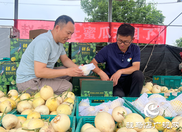 驛城區(qū)沙河店鎮(zhèn)趙堯村：瓜果飄香 特色種植促發(fā)展