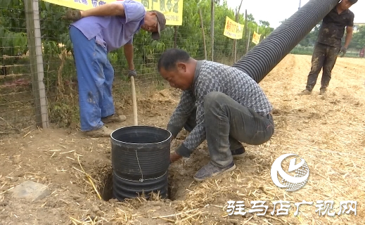 駐馬店噸源種業(yè)：打井保灌溉 抗旱促秋種