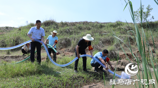 泌陽(yáng)融媒：讓黨旗飄揚(yáng)在抗旱一線