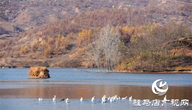 泌陽：帶你領(lǐng)略不一樣的風(fēng)景