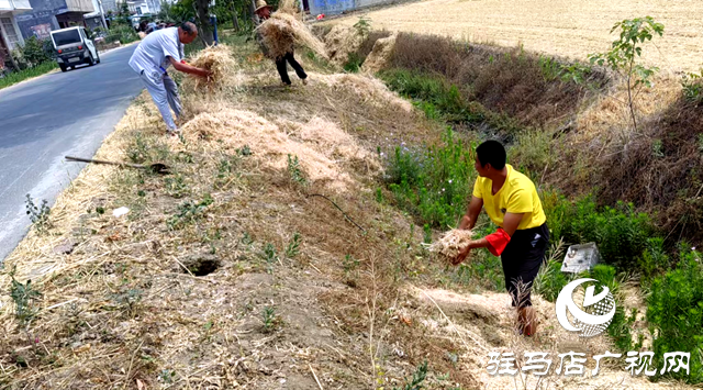 新蔡縣化莊鄉(xiāng)：秸稈清運除隱患 筑牢禁燒“防火墻”