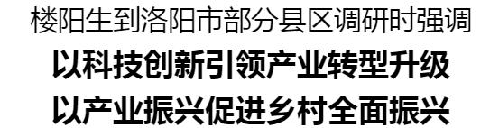 樓陽生到洛陽市部分縣區(qū)調(diào)研