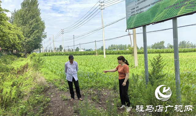 暴雨過(guò)后如何防范農(nóng)田內(nèi)澇？農(nóng)業(yè)專家支招