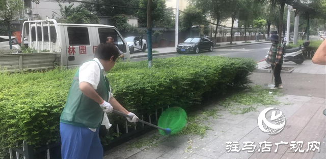 駐馬店經(jīng)濟(jì)開發(fā)區(qū)城市管理局雨后綠化精管養(yǎng) 城市景觀煥新顏