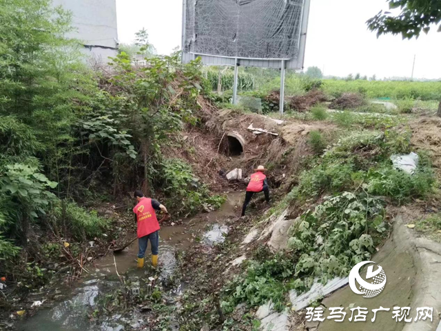 駐馬店經(jīng)濟開發(fā)區(qū)賈莊居委會志愿者冒雨清理河道