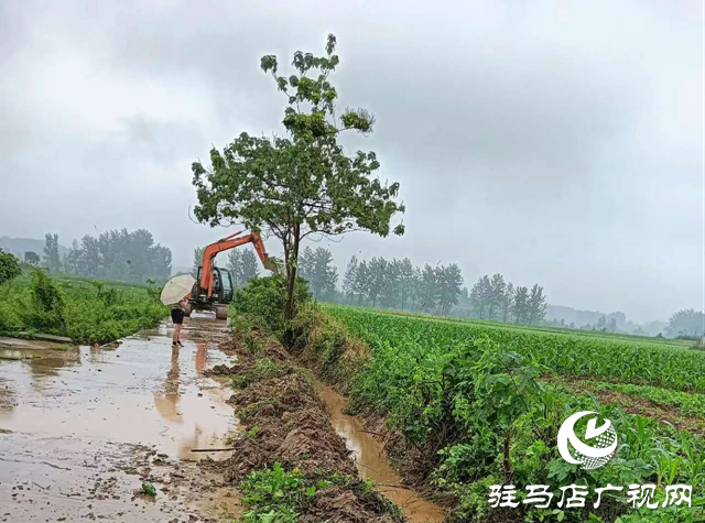 驛城區(qū)蟻蜂鎮(zhèn)：全面做好降雨應(yīng)對(duì)工作 筑牢汛期安全屏障