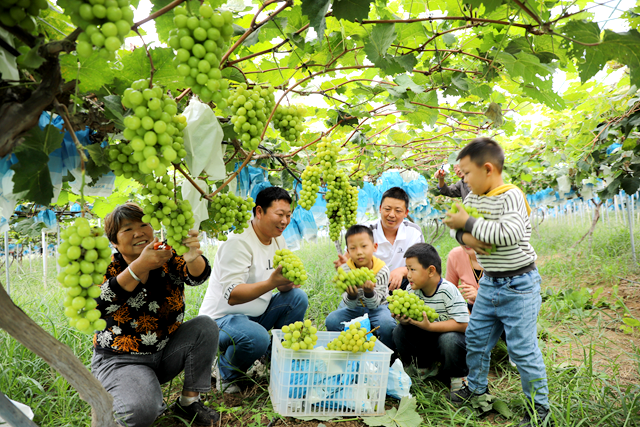 驛城區(qū)：農(nóng)文旅融合   “家門口”的田園暑假游受熱捧