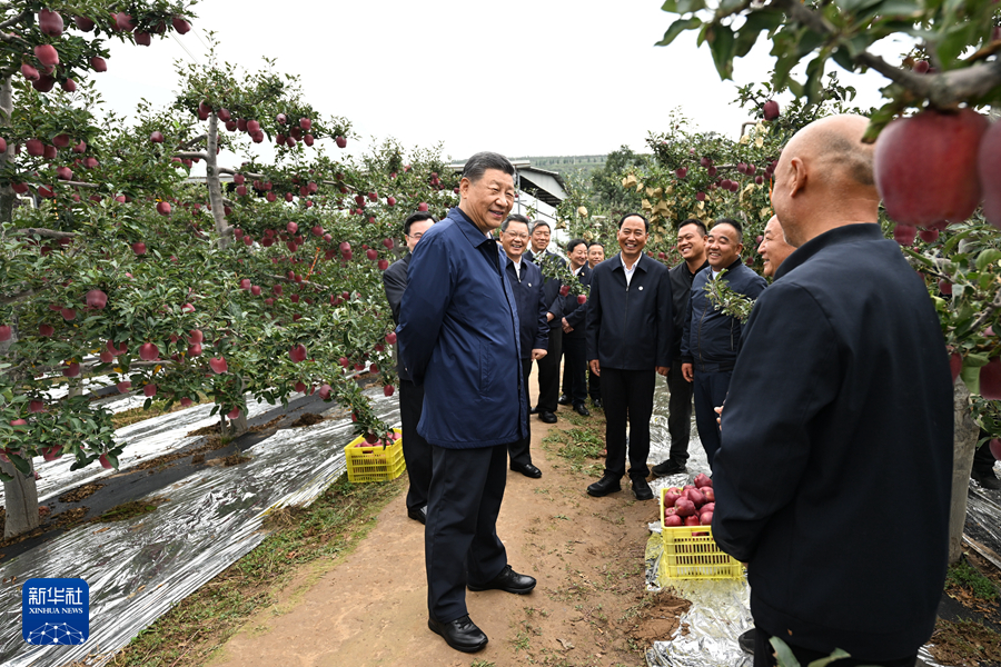 習近平在甘肅考察時強調 深化改革勇于創(chuàng)新苦干實干富民興隴 奮力譜寫中國式現(xiàn)代化甘肅篇章