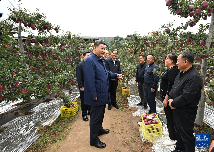 習近平在甘肅考察時強調 深化改革勇于創(chuàng)新苦干實干富民興隴 奮力譜寫中國式現(xiàn)代化甘肅篇章