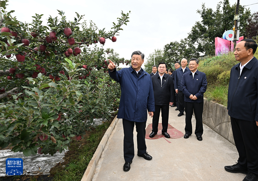 習近平在甘肅考察時強調 深化改革勇于創(chuàng)新苦干實干富民興隴 奮力譜寫中國式現(xiàn)代化甘肅篇章