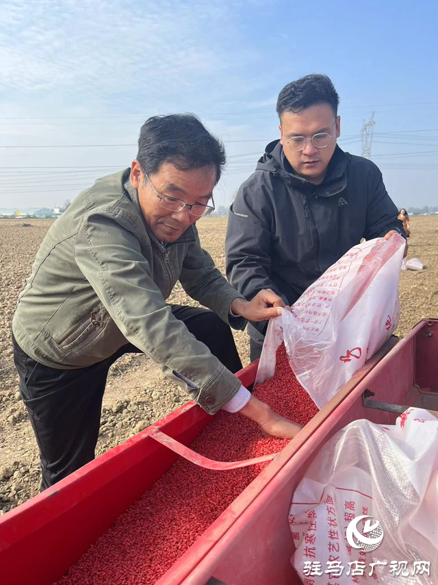 駐馬店：小麥播種正當時  技術指導促豐收