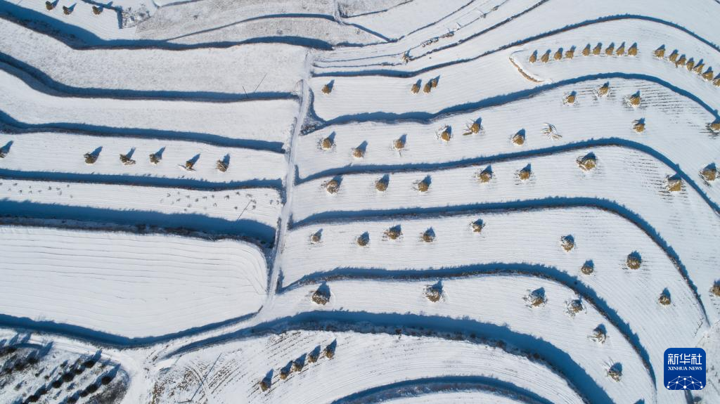 寒潮來襲 多地出現(xiàn)降雪