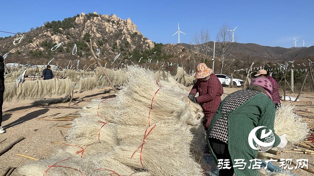 驛城區(qū)：紅薯粉條“曬”出農家致富路