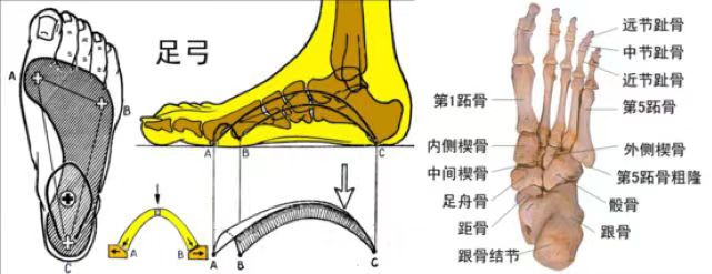 雪地靴又上熱搜！經(jīng)常穿真的很“傷腳”……醫(yī)生緊急提醒