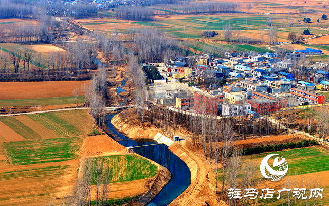 泌陽縣黃山口鄉(xiāng)：走穩(wěn)小麥“田管棋”，繪就夏收好“豐”景