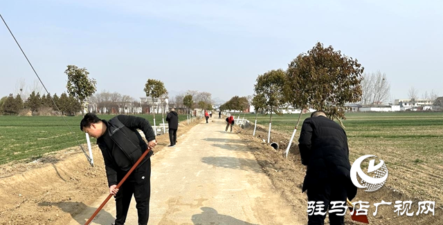 泌陽縣下碑寺鄉(xiāng)：志愿“紅”繪就溝渠新貌 連通鄉(xiāng)村“水脈絡(luò)”