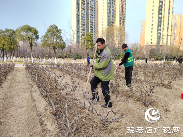 駐馬店開源公園：不負春季好時光 綠化養(yǎng)護正當時