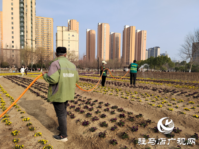 駐馬店開源公園：不負春季好時光 綠化養(yǎng)護正當時