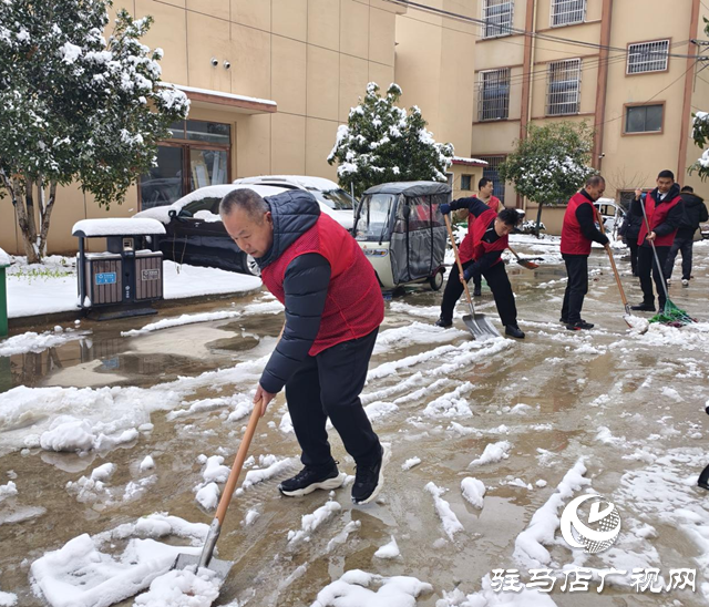 義務(wù)掃雪暖人心 志愿服務(wù)踐初心