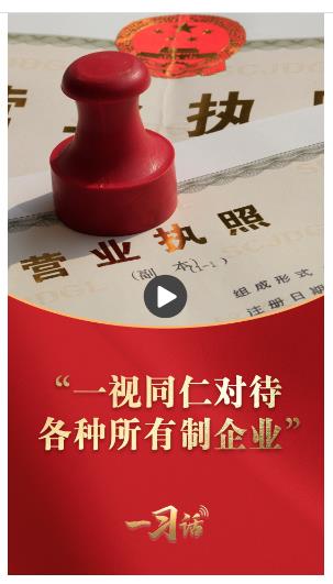 一習(xí)話丨“一視同仁對待各種所有制企業(yè)”