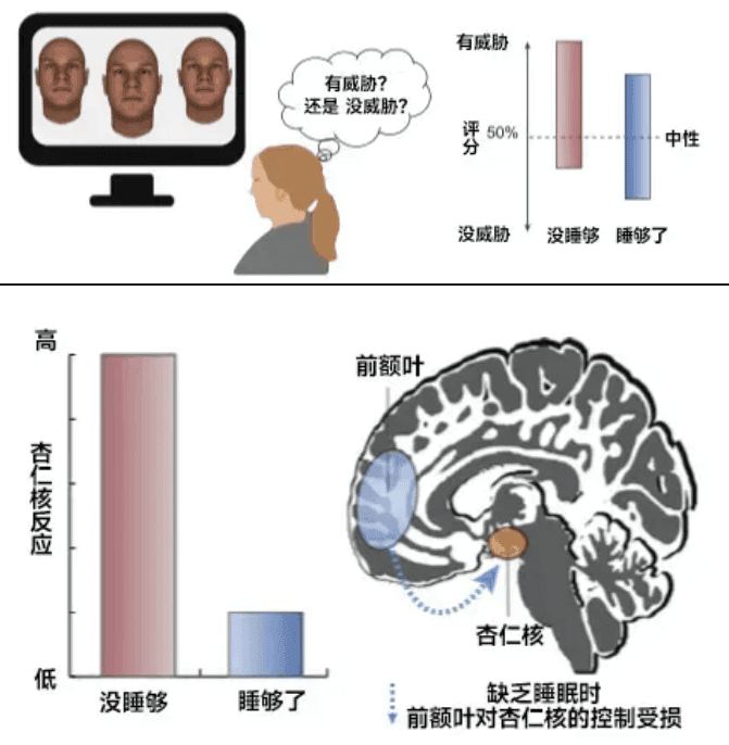 你以為的正常現(xiàn)象，其實(shí)是睡眠不足！這份“熬夜急救包”請收好