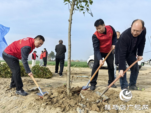 驛城區(qū)水屯鎮(zhèn)：“志愿紅”繪就“生態(tài)綠”