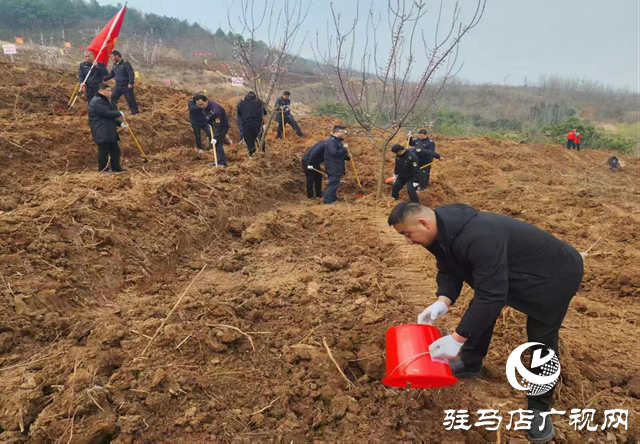 確山：春光明媚日 植樹(shù)正當(dāng)時(shí)