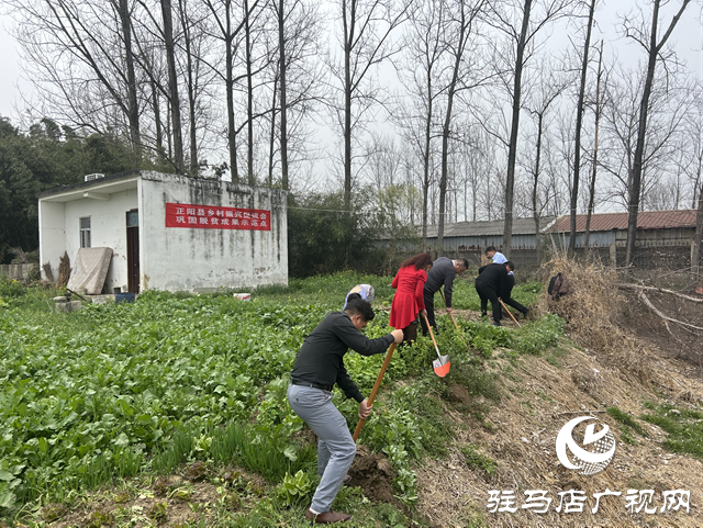 正陽(yáng)縣：捐贈(zèng)果樹送溫暖 愛心助農(nóng)添新綠