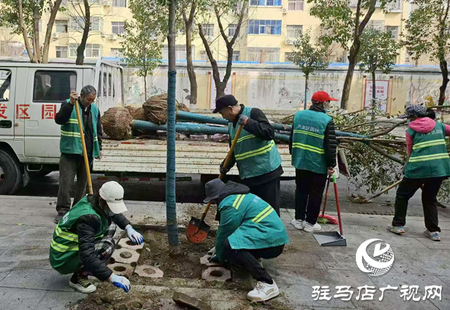 駐馬店經(jīng)濟(jì)開發(fā)區(qū)城市管理局：“植”此青綠繪新篇