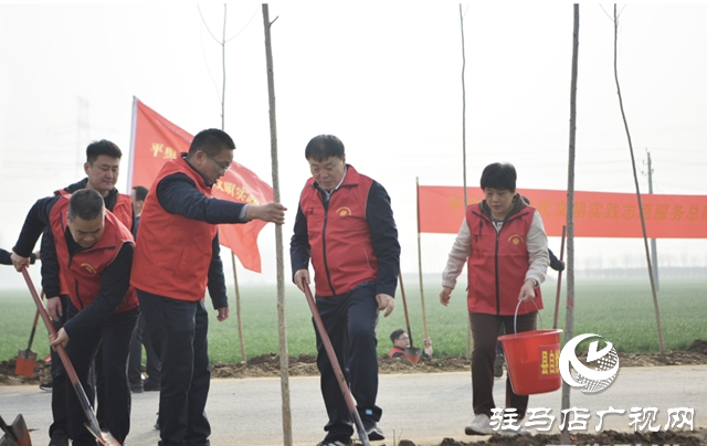 平輿縣干部職工開展義務(wù)植樹活動為城市生態(tài)建設(shè)增添新綠