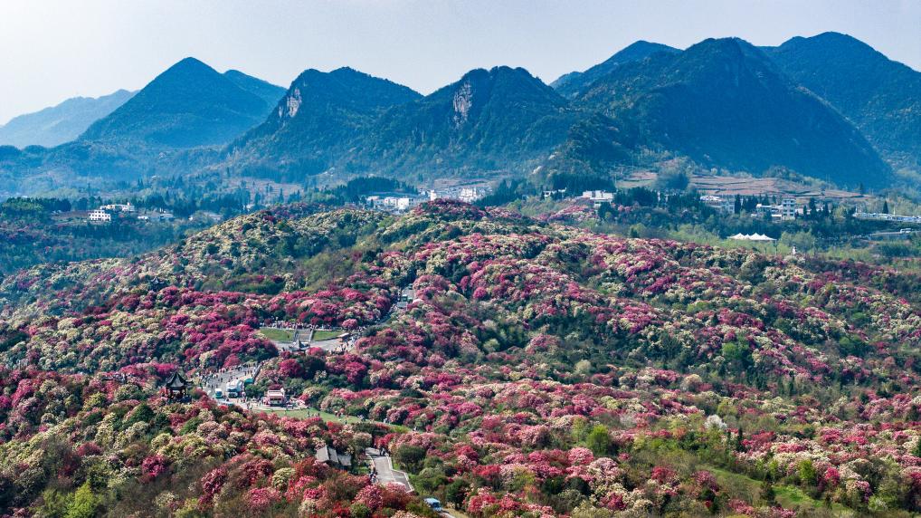 接下來這半個多月，這些地方會很美！