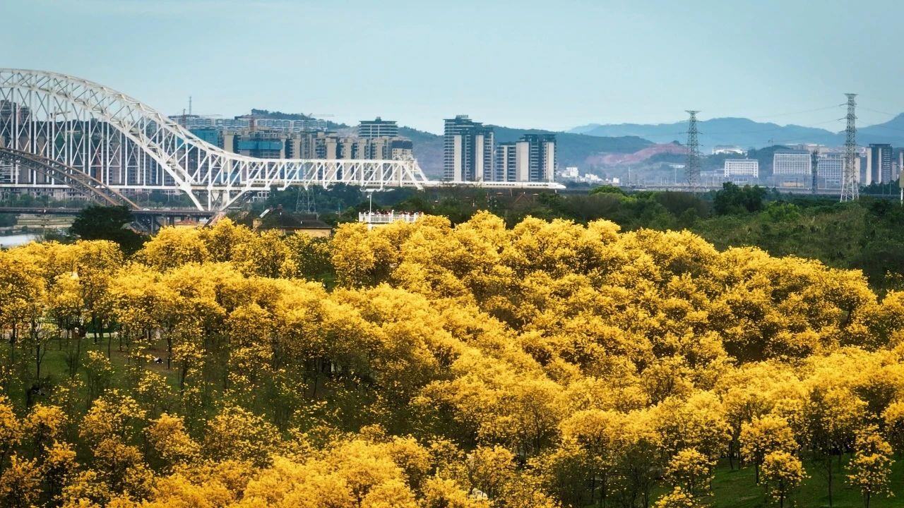 春意漸濃，這條高鐵沿線的寶藏城市“藏不住”了！