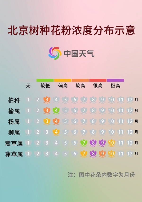 前方噴嚏警告！又到花粉過敏季，四招教你有效預(yù)防