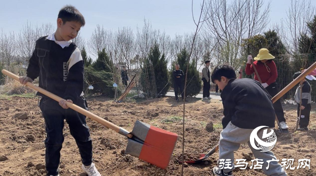 駐馬店廣播電視臺(tái)廣播事業(yè)管理中心：開(kāi)展第七屆公益植樹(shù)活動(dòng) 助力鄉(xiāng)村綠色發(fā)展