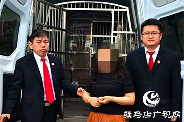 平輿縣人民法院：破曉而行，集中執(zhí)行持續(xù)“升溫”