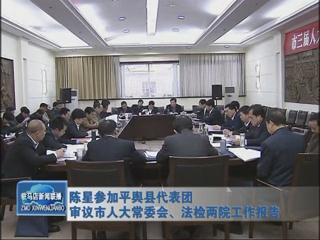 陳星參加平輿代表團審議市人大常委會、法檢兩院工作報告（視頻）